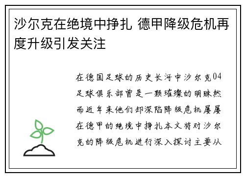 沙尔克在绝境中挣扎 德甲降级危机再度升级引发关注