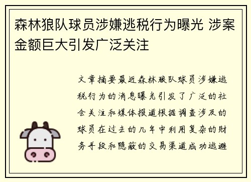 森林狼队球员涉嫌逃税行为曝光 涉案金额巨大引发广泛关注